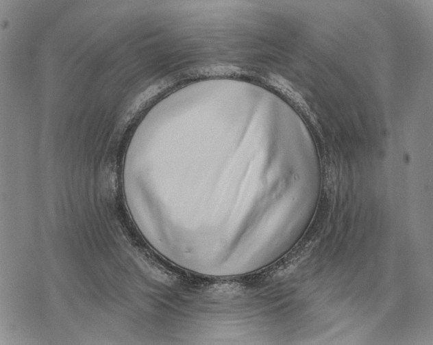 X0000072980063200608111752