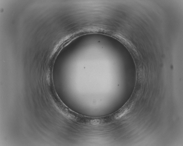 X0000072980064200608111752