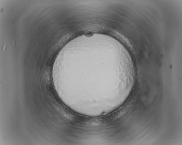 X0000072980065200608111752