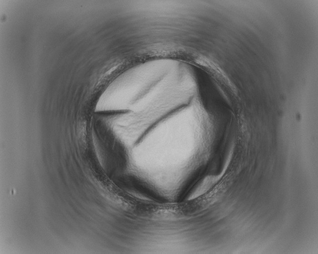 X0000072980066200608111752