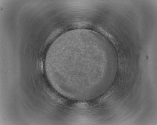 X0000072980067200608111752