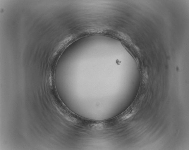 X0000072980068200608111752