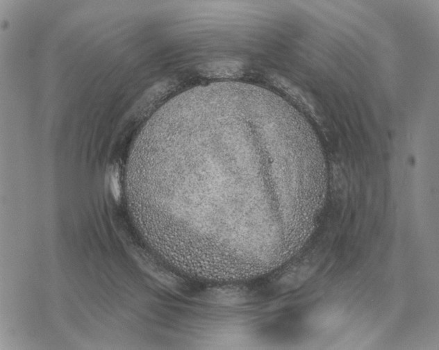 X0000072980069200608111752