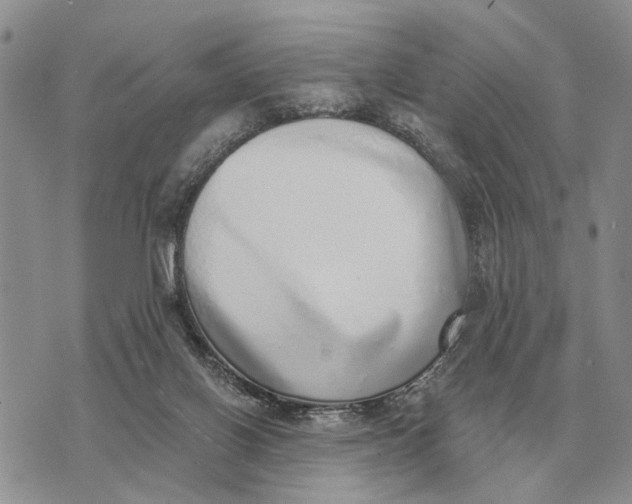 X0000072980070200608111752