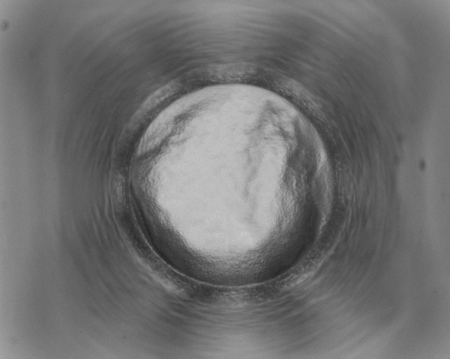 X0000072980071200608111752