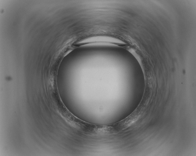 X0000072980072200608111752