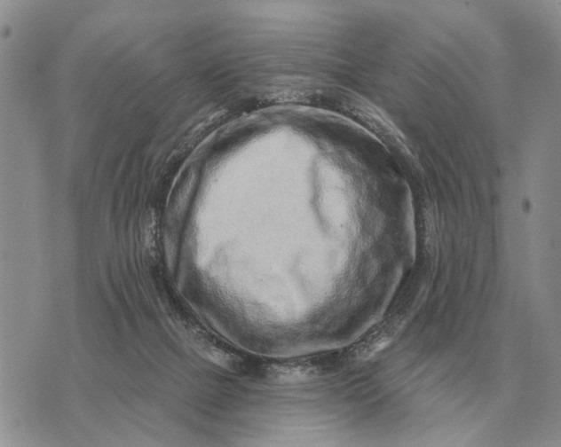 X0000072980073200608111752