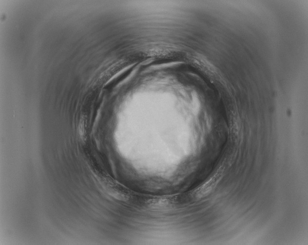 X0000072980074200608111752