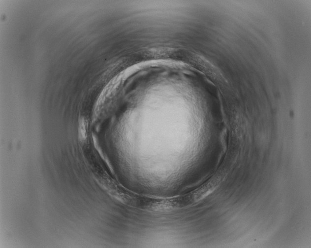 X0000072980075200608111752