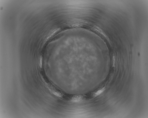 X0000072980076200608111752