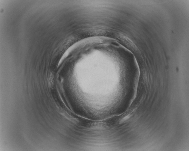 X0000072980077200608111752