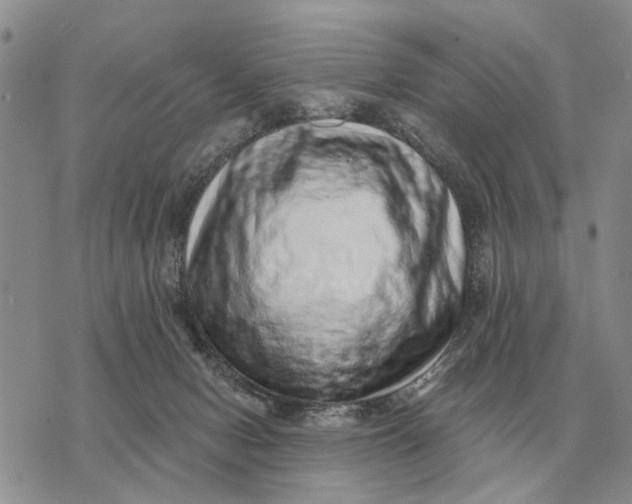 X0000072980078200608111752