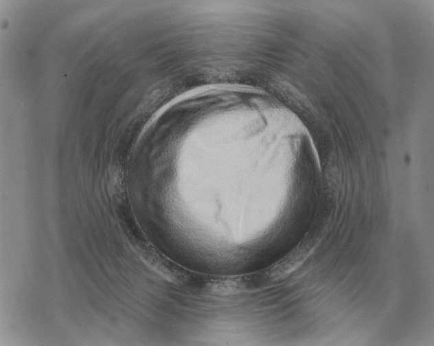 X0000072980079200608111752