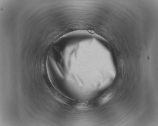 X0000072980080200608111752