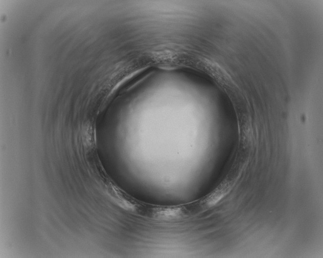 X0000072980081200608111752