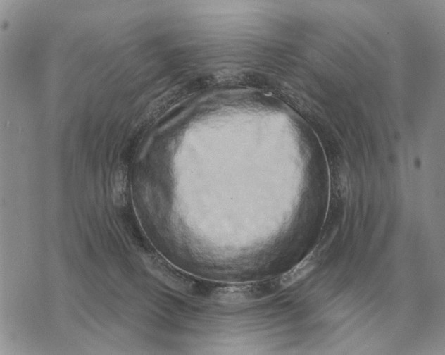 X0000072980082200608111752