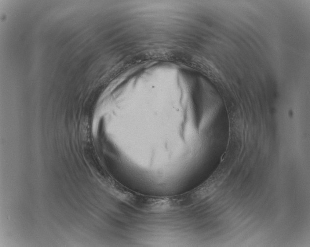 X0000072980083200608111752