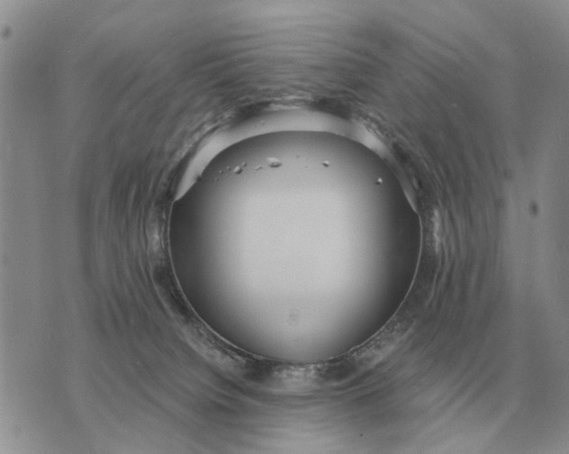 X0000072980084200608111752