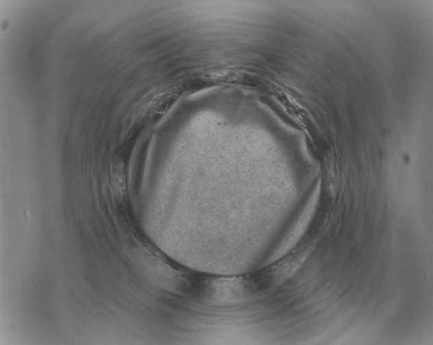 X0000072980085200608111752