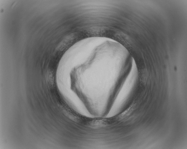 X0000072980086200608111752