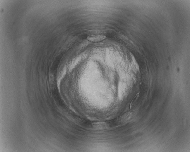 X0000072980087200608111752