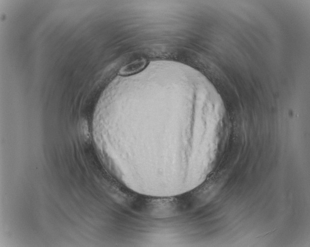 X0000072980089200608111752