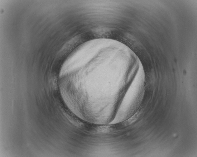 X0000072980090200608111752