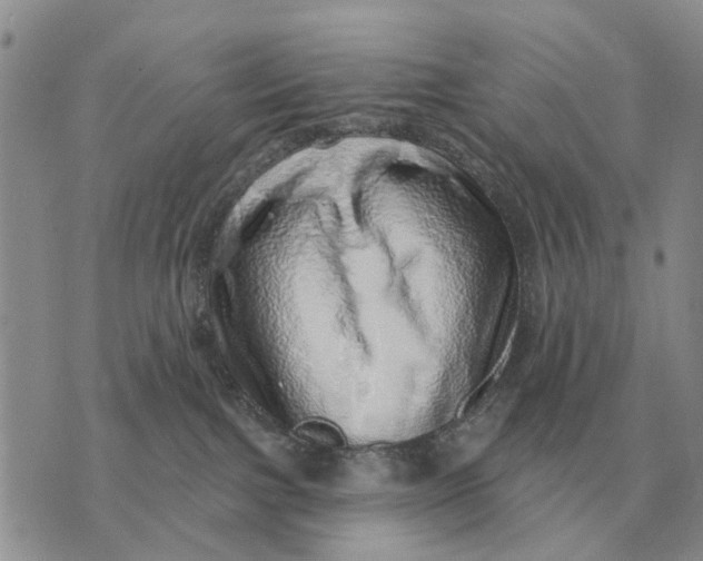 X0000072980091200608111752