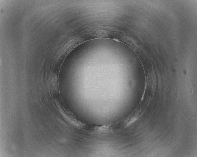 X0000072980092200608111752