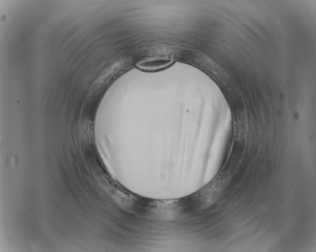 X0000072980093200608111752