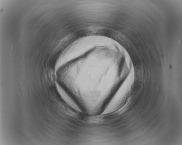 X0000072980094200608111752