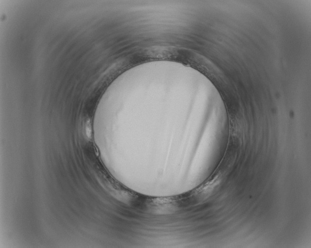 X0000072980095200608111752