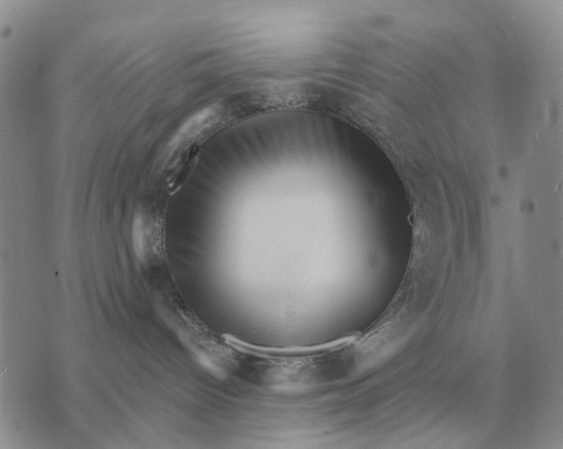 X0000072980096200608111752