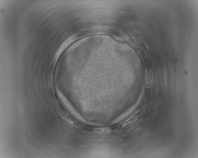 X0000072980099200608111751