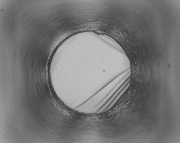 X0000072980100200608111751