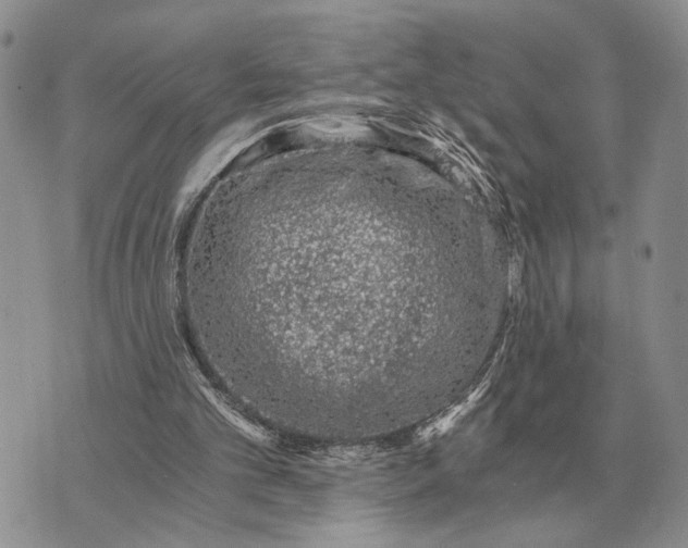 X0000072980101200608111751