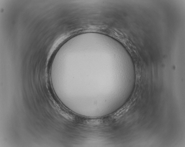 X0000072980102200608111751