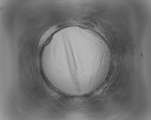 X0000072980103200608111751