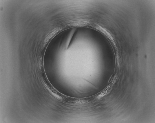 X0000072980105200608111751