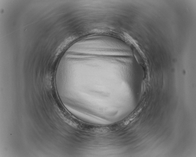 X0000072980106200608111751