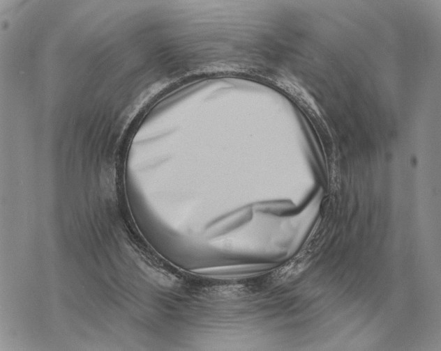 X0000072980108200608111751