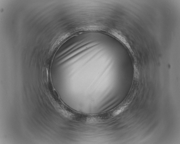 X0000072980109200608111751