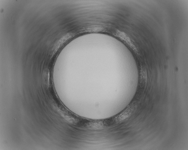 X0000072980110200608111751