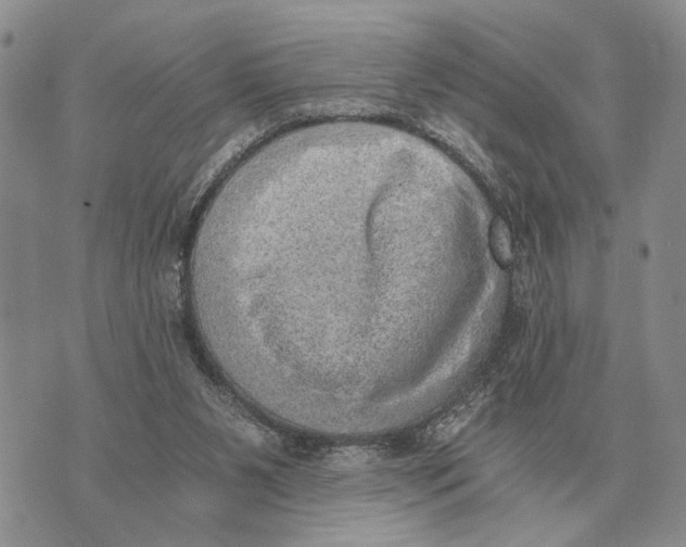 X0000072980111200608111751