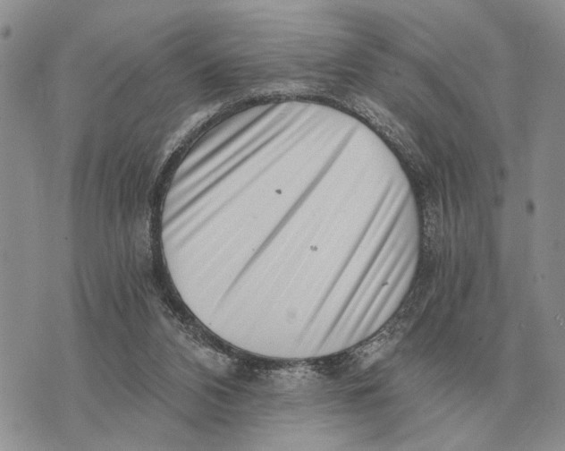 X0000072980112200608111751