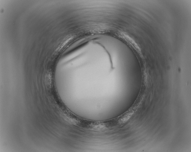 X0000072980113200608111751