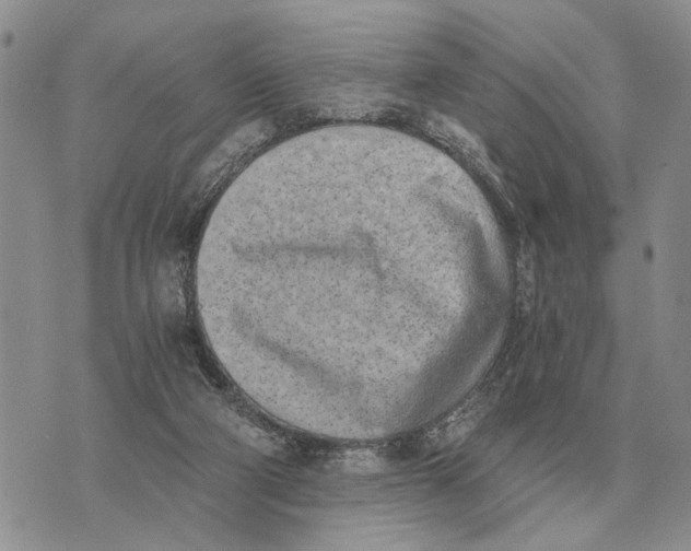 X0000072980114200608111751