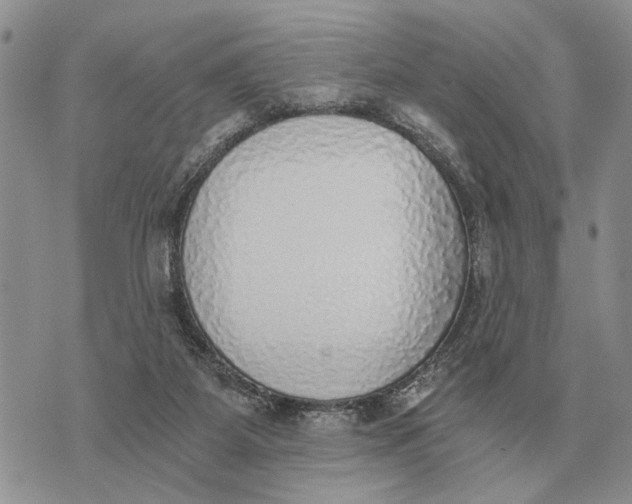 X0000072980115200608111751