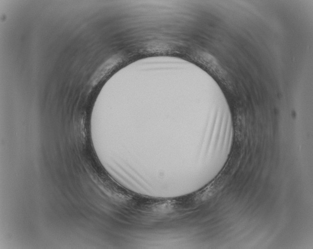 X0000072980116200608111751