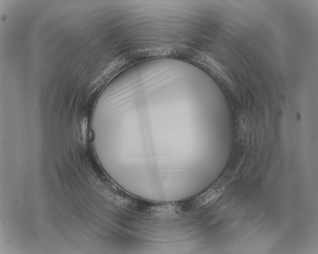 X0000072980118200608111751